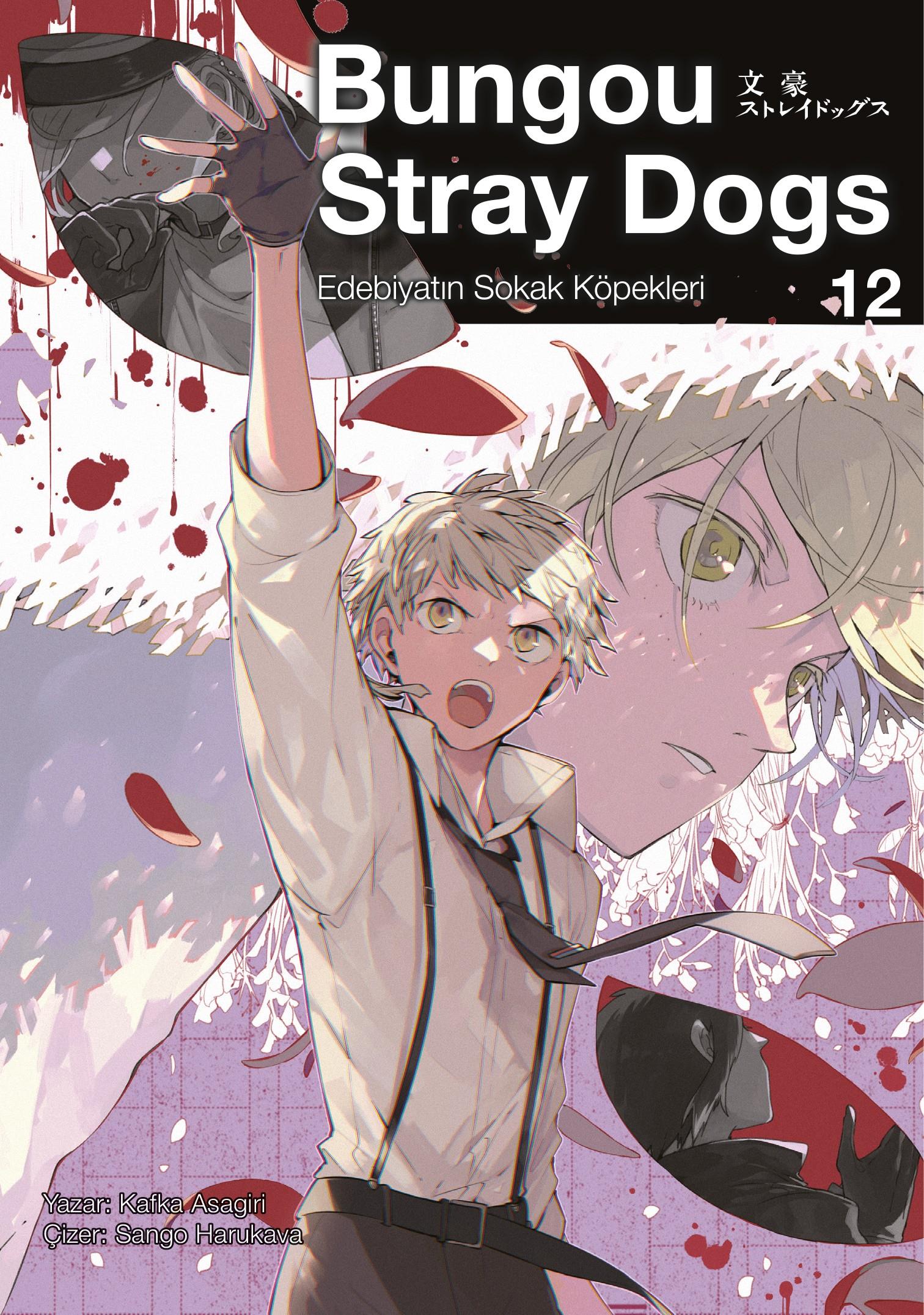 Bungou Stray Dogs 12.Cilt