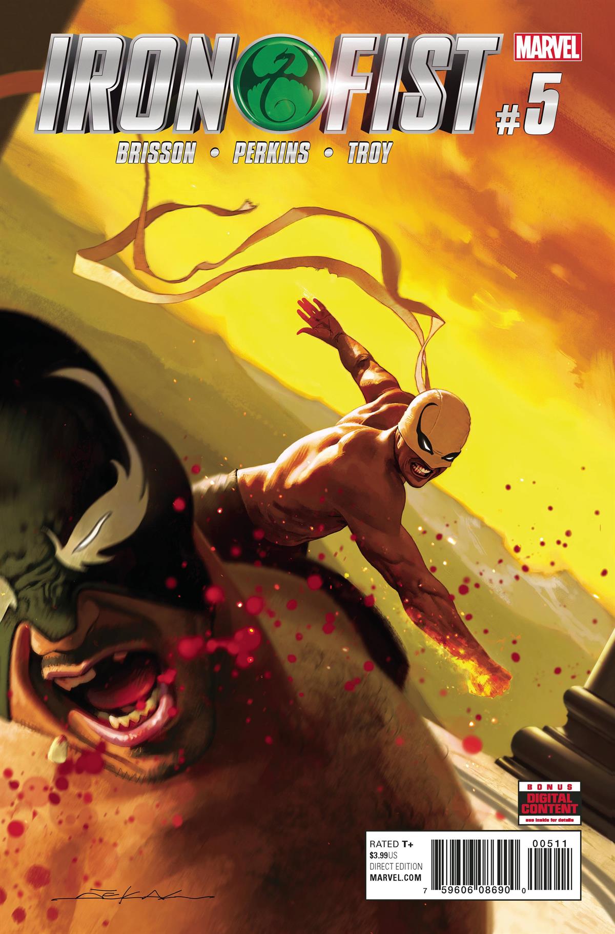 iron-fist-5-caa0b-.jpg