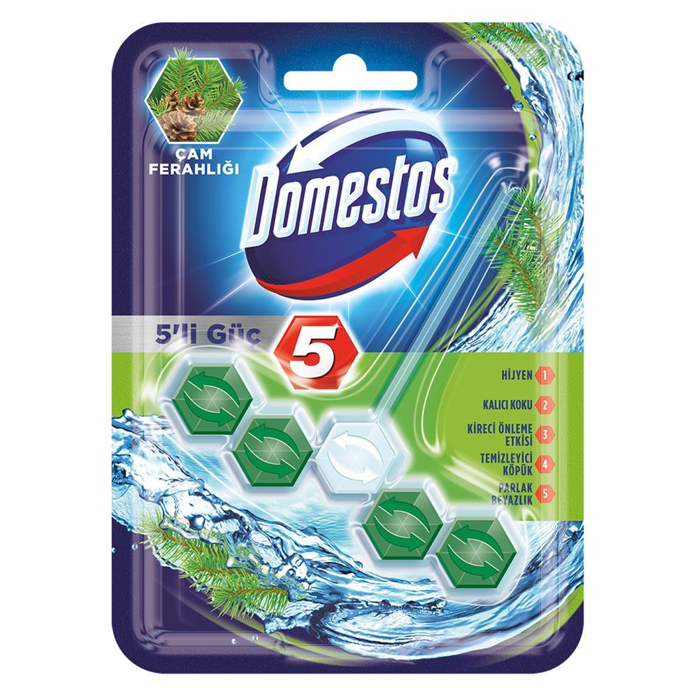 Domestos 5 in 1 Klozet Bloğu Çam Ferahlığı 55 g