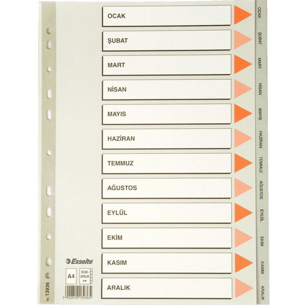 Esselte 1393615 Seperatör A4 Ocak-Aralık