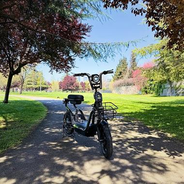 Volta VSM 220 W Elektrikli Bisiklet