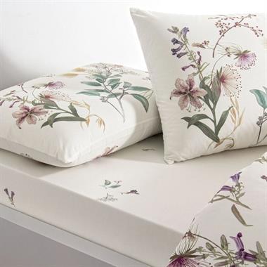 Taç Elowen Ranforce Çift Kişilik Nevresim Takımı Yeşil