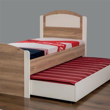 DM359 Defne Genç Yavruluk