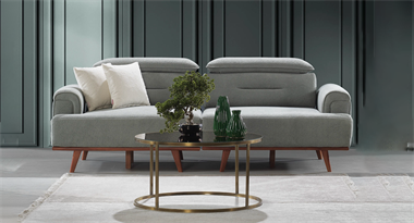 Delfin Kanepe (Ses Sistemli)