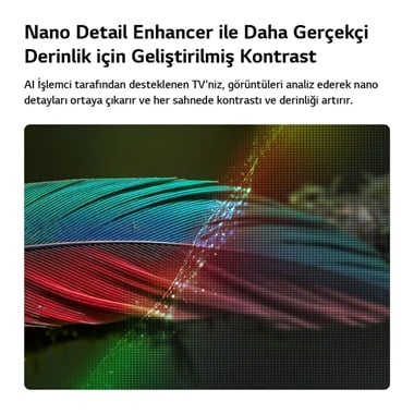 LG 65NU8E0B3LA 65 İnç 165 Ekran 4K Ultra HD webOS Smart LED Televizyon Uydu Alıcılı 60 Hz