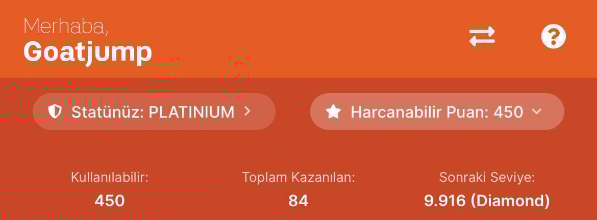 Puan Bilgisi