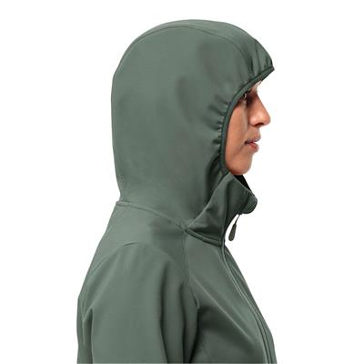 Jack Wolfskin Bornberg Kadın Hoody 