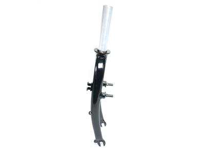 Dahon Ikon Maşa
