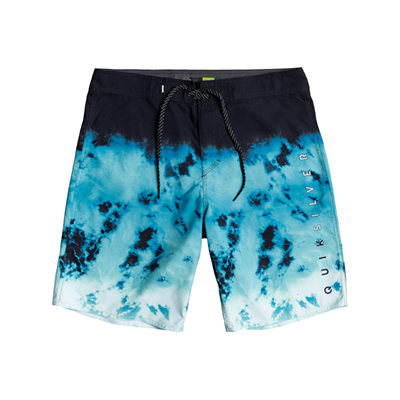 Quiksilver Everyday Rager 20