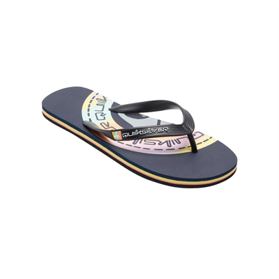 Quiksilver Molokai Art Terlik