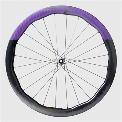 Princeton Peak 4550 Evo Disk Jant Seti