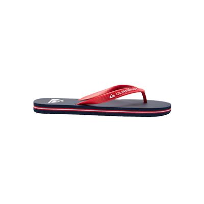 Quiksilver Molokai Core Siyah Erkek Terlik 