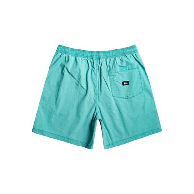 Quiksilver Taxer Elasticized Erkek Şortu