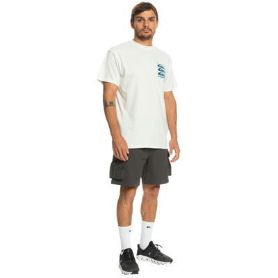 Quiksilver Run Ashore Cargo Erkek Şortu
