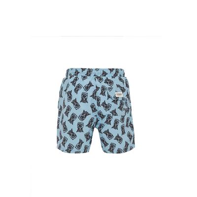 Routefield Valesca Erkek Volley Yüzücü Şortu