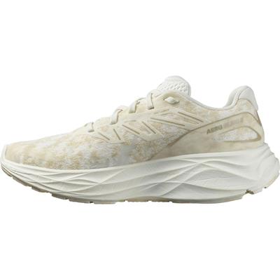 Salomon Aero Glide 2 Kadın Yol Koşusu Ayakkabısı