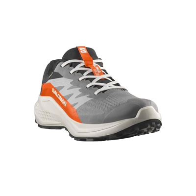 Salomon Alphaglide Gore-Tex Erkek Gri Patika Koşusu Ayakkabısı