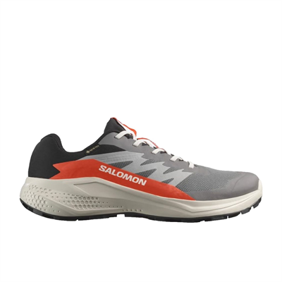 Salomon Alphaglide Gore-Tex Erkek Gri Patika Koşusu Ayakkabısı