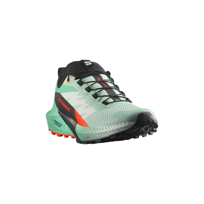 Salomon Sense Ride 5 Kadın Patika Koşusu Ayakkabısı