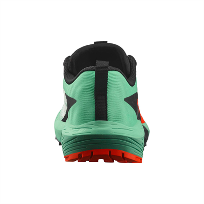 Salomon Sense Ride 5 Kadın Patika Koşusu Ayakkabısı