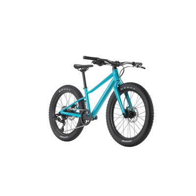 BMC Twostroke AL 20 Dağ Bisikleti