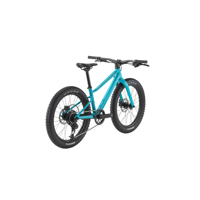 BMC Twostroke AL 20 Dağ Bisikleti