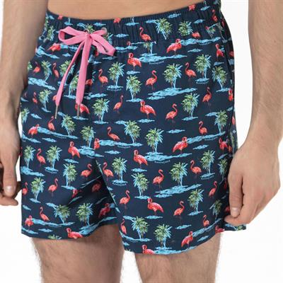 Routefield Vale Volley Deniz Şortu