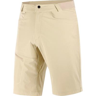 Salomon Wayfarer Shorts M Erkek Günlük Şort