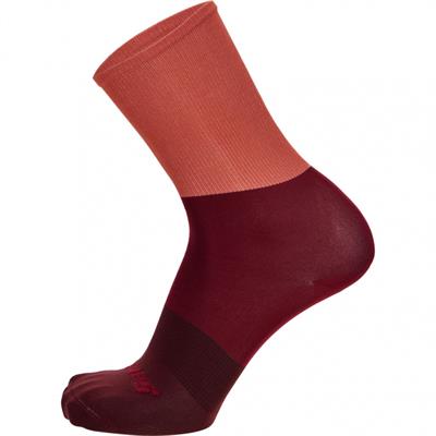 Santini Bengal Çorap 5S652HPBIGB