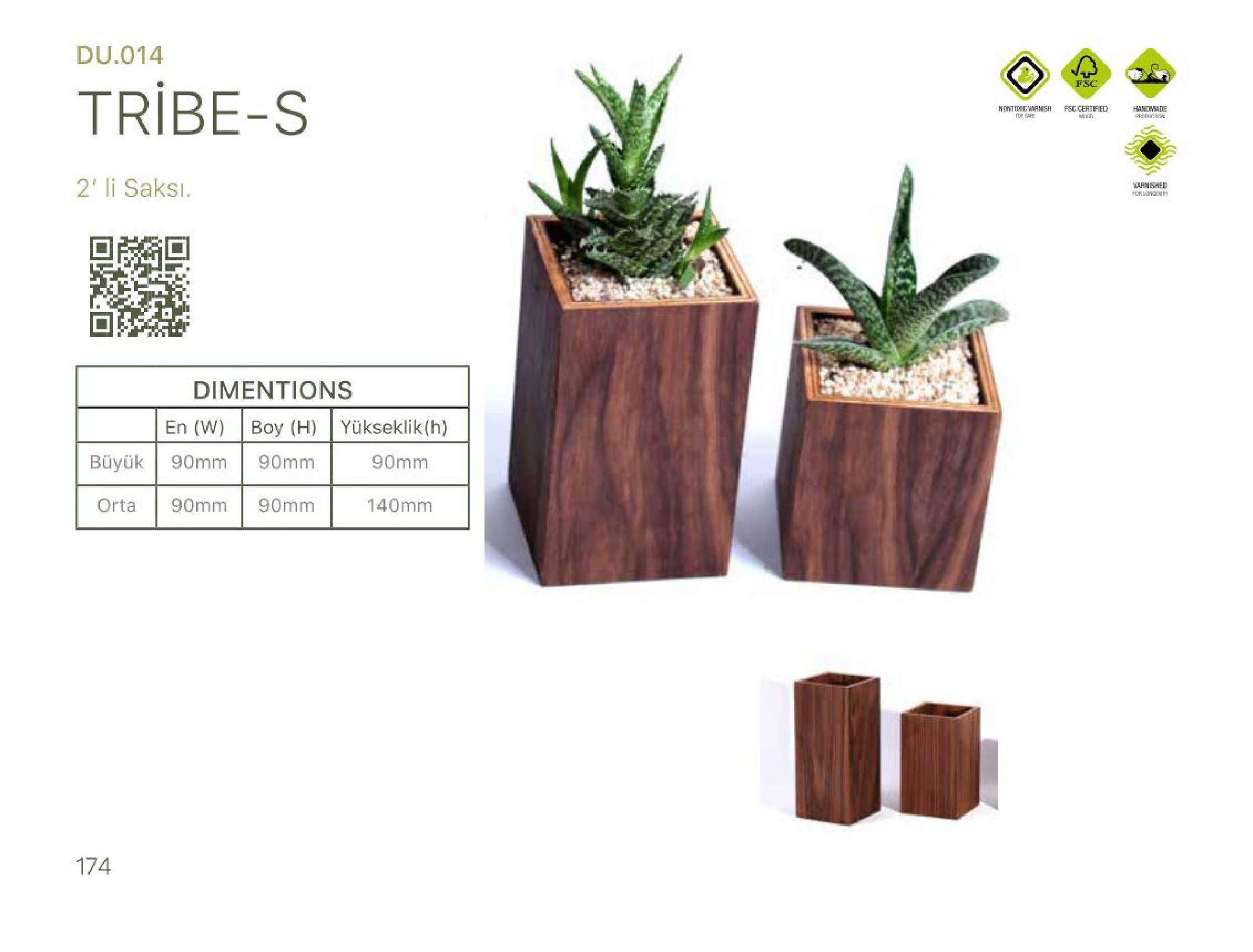 2-piece succulent planter set, walnut wood planters, TRIBE decorative plant pots, natural walnut succulent holders, indoor plant decor set, wooden pot with live succulents, rustic home decor, handcrafted plant containers, walnut flower pots, wooden office plant pots, natural décor planters, modern wood plant holders, home and garden accessories