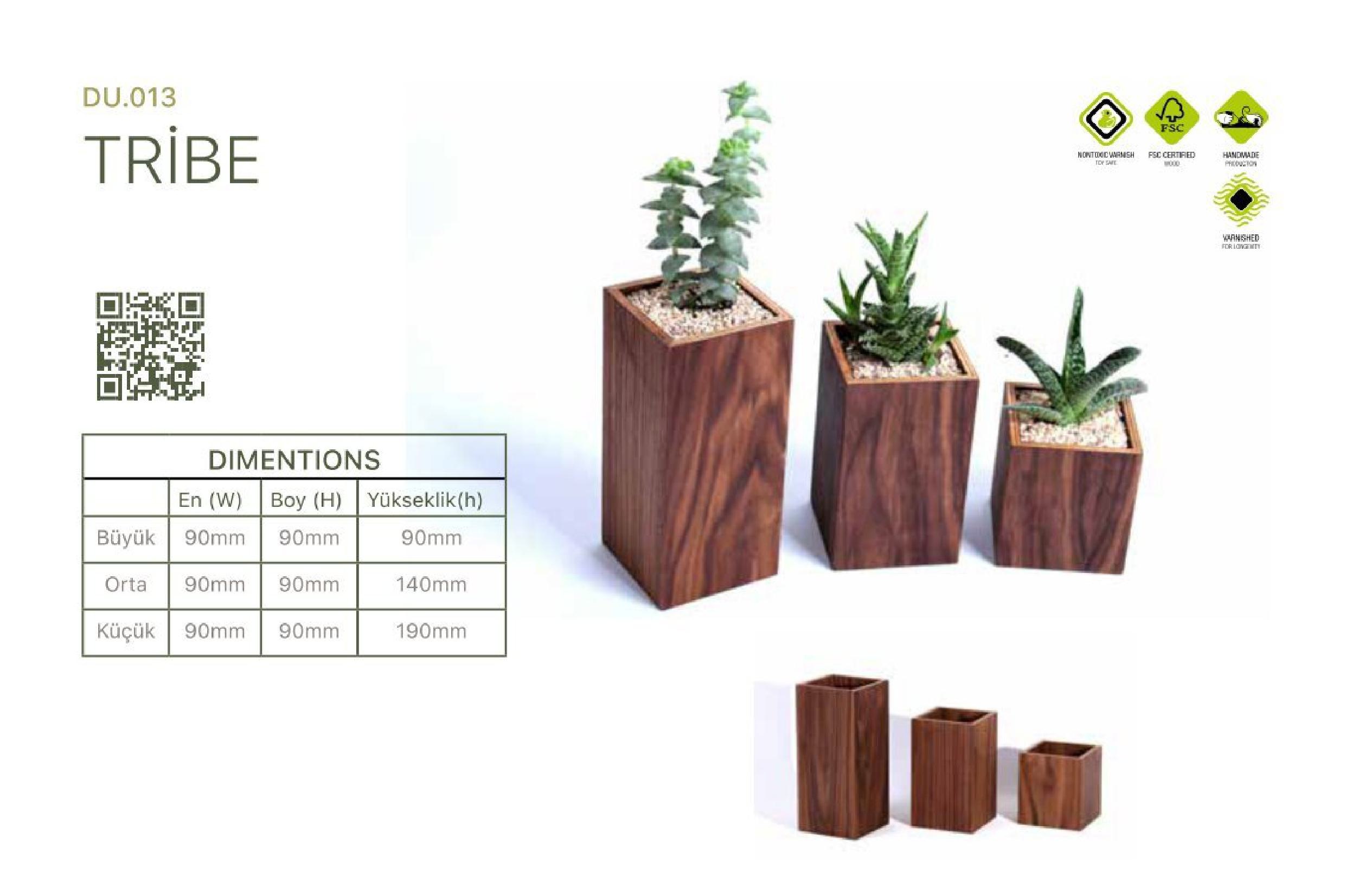 walnut succulent planter set, TRIBE 3-piece wooden pots, indoor wooden planters with succulents, decorative walnut planters, handcrafted walnut pots, modern plant decor, indoor walnut wood planters, small potted succulents, home plant accessories, rustic wood decor, minimalist succulent holders, natural wood flower pots, living room green decor