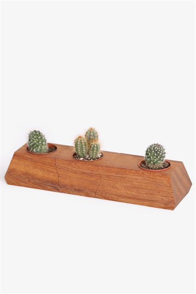 Alcantra Mini Saksıwooden+DU001.01