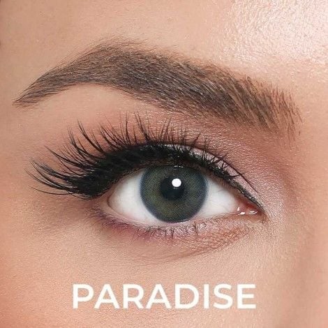 EL AMORE AMORE NUMARALI PARADİSE