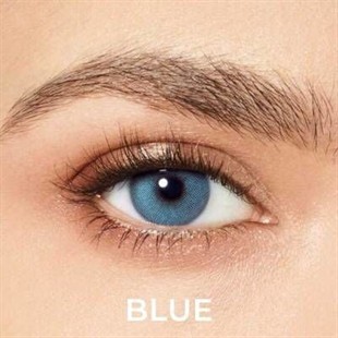 Desio Att. Quarterly Classic | Blue