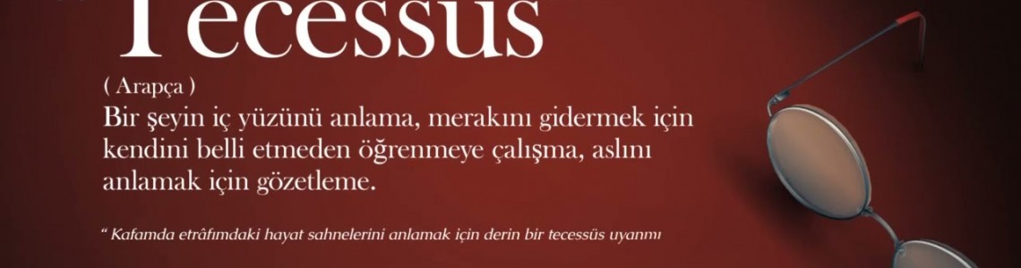 Tecessus