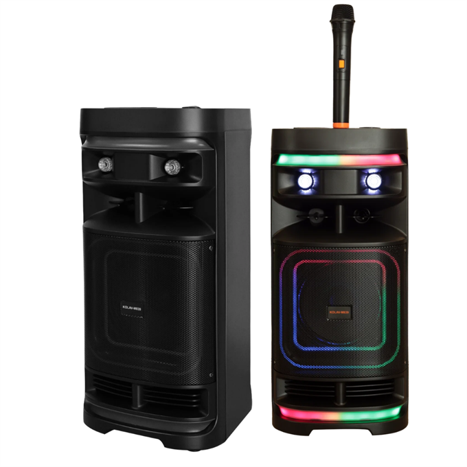 M839 Işıklı Bluetooth Karaoke, Kablosuz Mikrofonlu Taşınabilir Parti Hoparlörü