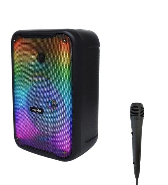 Polygold KTS-1752 Karaoke Müzik Kutusu | HZL Store