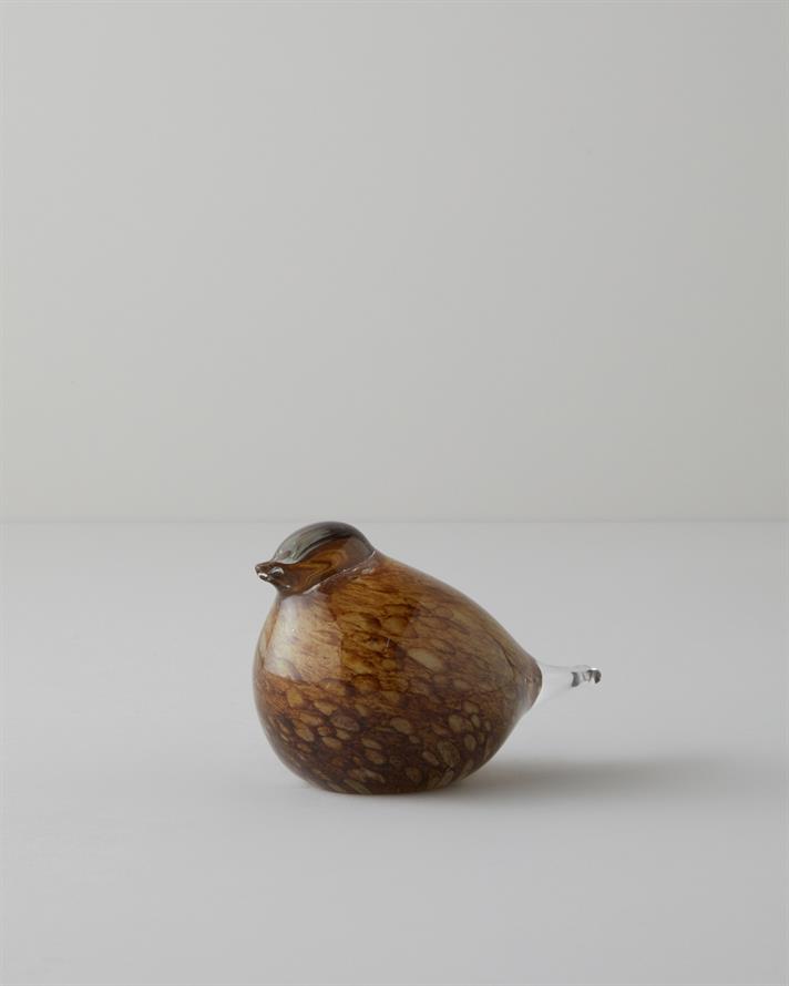Görsel