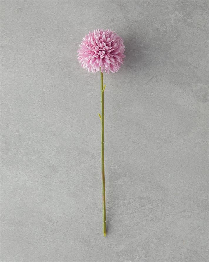 Görsel