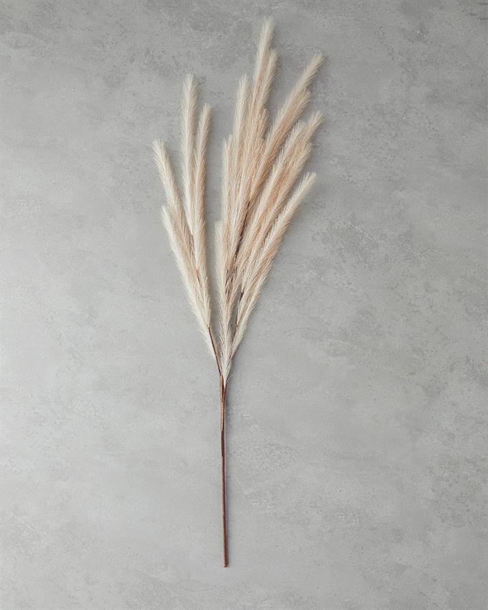 Görsel