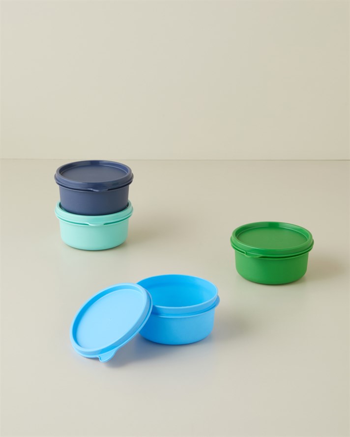 Aline Plastik 4lü Saklama Kabı 280 ml Yeşil-Mavi