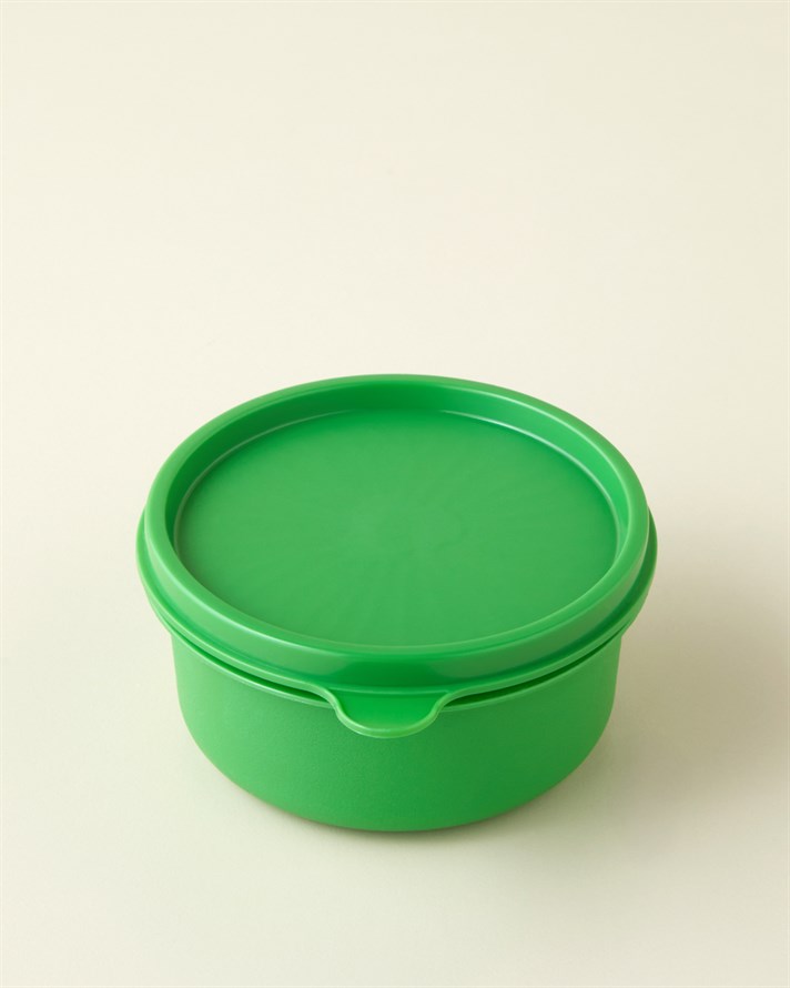 Aline Plastik 4lü Saklama Kabı 280 ml Yeşil-Mavi