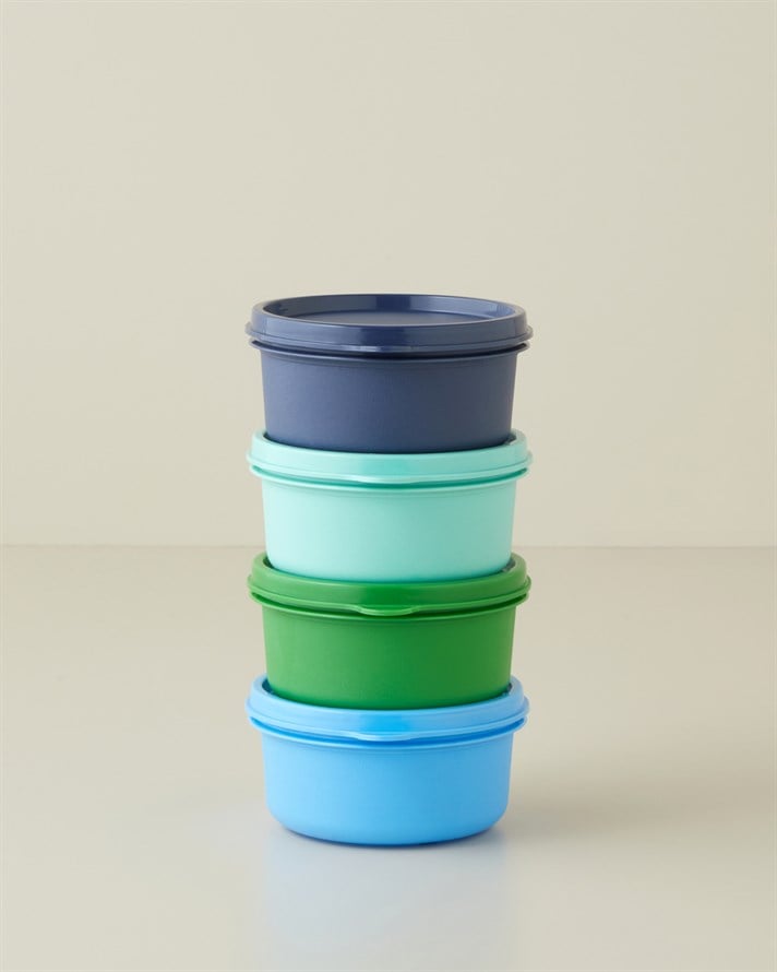 Aline Plastik 4lü Saklama Kabı 280 ml Yeşil-Mavi