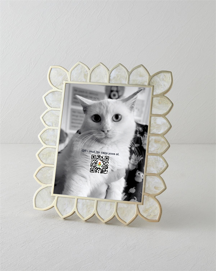 Andre Çerçeve Krem