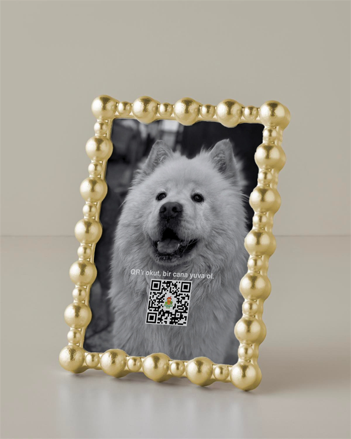 Aspen Çerçeve Gold