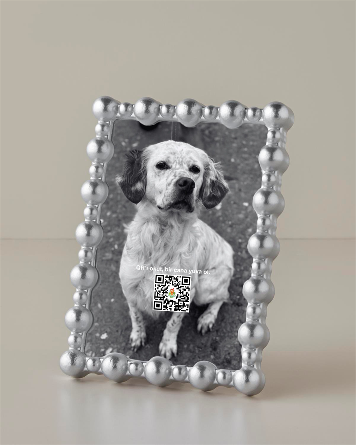 Aspen Çerçeve 13x18 cm Silver