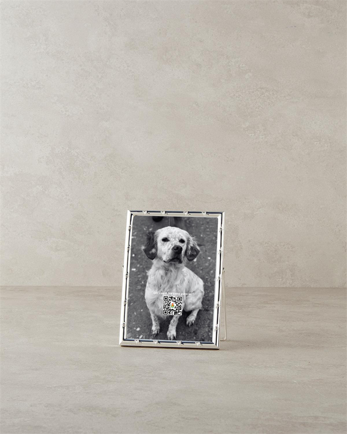 Bamboo Metal Çerçeve Silver