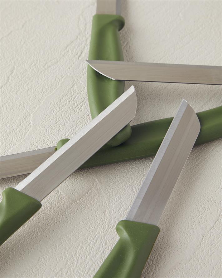 Bertrand Paslanmaz Çelik 6lı Bıçak 8 cm Yeşil