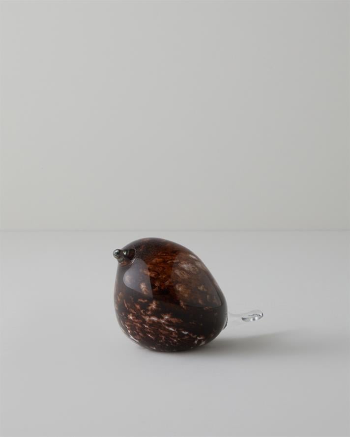 Birdy Cam Biblo Kahverengi