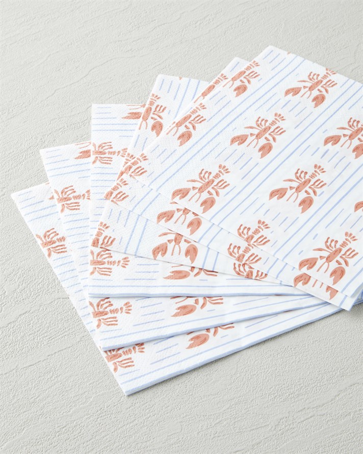 Clawdia Kağıt 20li Kağıt Peçete 33x33 cm Mavi-Turuncu